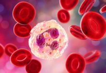 Ljudi sa ovom krvnom grupom mogu imati ozbiljan problem ako piju alkohol ili kafu: Evo kako im organizam reaguje Ljudi sa ovom krvnom grupom mogu imati ozbiljan problem ako piju alkohol ili kafu: Evo kako im organizam reaguje