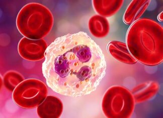 Ljudi sa ovom krvnom grupom mogu imati ozbiljan problem ako piju alkohol ili kafu: Evo kako im organizam reaguje Ljudi sa ovom krvnom grupom mogu imati ozbiljan problem ako piju alkohol ili kafu: Evo kako im organizam reaguje