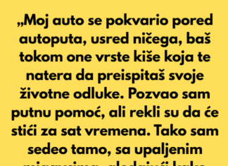 „Moj auto se pokvario pored autoputa, usred ničega, baš tokom one vrste kiše koja te natera da preispitaš svoje životne odluke.” „Moj auto se pokvario pored autoputa, usred ničega, baš tokom one vrste kiše koja te natera da preispitaš svoje životne odluke.”