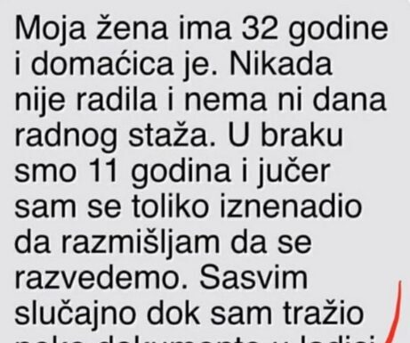 “Moja žena ima 32 godine i domaćica je” “Moja žena ima 32 godine i domaćica je”