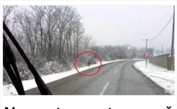 Na pustom putu, vozač je primjetio nešto ČUDNO! Nije mogao proći! Na pustom putu, vozač je primjetio nešto ČUDNO! Nije mogao proći!