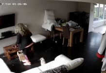 Nakon što je primetila da joj u kući nestaje novac, žena rešila da postavi kamere i otkrije šta se dešava: Kad je pregledala snimak, zaledila se od prizora Nakon što je primetila da joj u kući nestaje novac, žena rešila da postavi kamere i otkrije šta se dešava: Kad je pregledala snimak, zaledila se od prizora