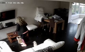 Nakon što je primetila da joj u kući nestaje novac, žena rešila da postavi kamere i otkrije šta se dešava: Kad je pregledala snimak, zaledila se od prizora Nakon što je primetila da joj u kući nestaje novac, žena rešila da postavi kamere i otkrije šta se dešava: Kad je pregledala snimak, zaledila se od prizora