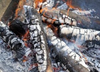 NE BACAJTE PEPE0 0D L0ŽENJA: PRAVO JE BLAG0, KADA VIDITE ZAŠT0 KORISTIĆETE GA UVlJEK…. NE BACAJTE PEPE0 0D L0ŽENJA: PRAVO JE BLAG0, KADA VIDITE ZAŠT0 KORISTIĆETE GA UVlJEK….