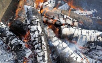 NE BACAJTE PEPE0 0D L0ŽENJA: PRAVO JE BLAG0, KADA VIDITE ZAŠT0 KORISTIĆETE GA UVlJEK…. NE BACAJTE PEPE0 0D L0ŽENJA: PRAVO JE BLAG0, KADA VIDITE ZAŠT0 KORISTIĆETE GA UVlJEK….