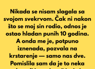 Nikada se nisam slagala sa svojom svekrvom. Nikada se nisam slagala sa svojom svekrvom.