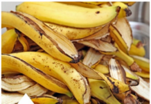 Nikako je ne bacajte – Kora od banane: recepti za zdravlje Nikako je ne bacajte – Kora od banane: recepti za zdravlje