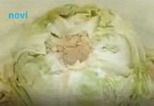 Njemački trik za kiseli kupus: 2 sastojka čine čuda, ova caka zlata je vrijedna, morate da probate Njemački trik za kiseli kupus: 2 sastojka čine čuda, ova caka zlata je vrijedna, morate da probate