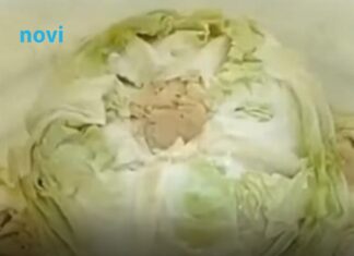 Njemački trik za kiseli kupus: 2 sastojka čine čuda, ova caka zlata je vrijedna, morate da probate Njemački trik za kiseli kupus: 2 sastojka čine čuda, ova caka zlata je vrijedna, morate da probate