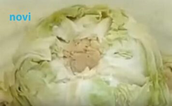 Njemački trik za kiseli kupus: 2 sastojka čine čuda, ova caka zlata je vrijedna, morate da probate Njemački trik za kiseli kupus: 2 sastojka čine čuda, ova caka zlata je vrijedna, morate da probate