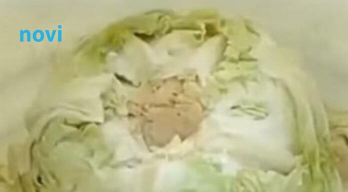 Njemački trik za kiseli kupus: 2 sastojka čine čuda, ova caka zlata je vrijedna, morate da probate Njemački trik za kiseli kupus: 2 sastojka čine čuda, ova caka zlata je vrijedna, morate da probate