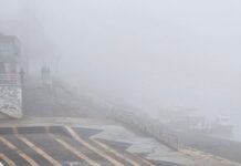 “Ona je u Njemačkoj” Otkriveni najnoviji detalji Sejdinog zdravstvenog stanja “Ona je u Njemačkoj” Otkriveni najnoviji detalji Sejdinog zdravstvenog stanja