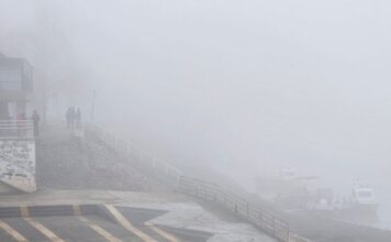 “Ona je u Njemačkoj” Otkriveni najnoviji detalji Sejdinog zdravstvenog stanja “Ona je u Njemačkoj” Otkriveni najnoviji detalji Sejdinog zdravstvenog stanja