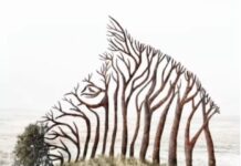 Ono što prvo vidite na ovoj optičkoj iluziji otkriva jeste li snažna ili osjećajna osoba Ono što prvo vidite na ovoj optičkoj iluziji otkriva jeste li snažna ili osjećajna osoba