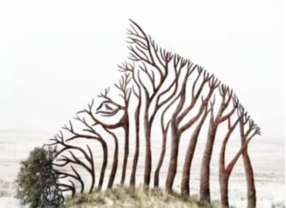 Ono što prvo vidite na ovoj optičkoj iluziji otkriva jeste li snažna ili osjećajna osoba Ono što prvo vidite na ovoj optičkoj iluziji otkriva jeste li snažna ili osjećajna osoba