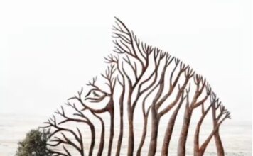 Ono što prvo vidite na ovoj optičkoj iluziji otkriva jeste li snažna ili osjećajna osoba Ono što prvo vidite na ovoj optičkoj iluziji otkriva jeste li snažna ili osjećajna osoba