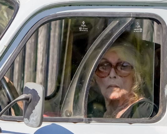 Otkriveno od čega je umrla Brižit Bardo: “Jeziva smrt” kaže svako ko pročita simptome ove bolesti Otkriveno od čega je umrla Brižit Bardo: “Jeziva smrt” kaže svako ko pročita simptome ove bolesti