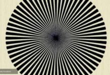 Ova iluzija mnoge je dovela do suza: Boja koja vam se pojavi može pokazati da li ste genije Ova iluzija mnoge je dovela do suza: Boja koja vam se pojavi može pokazati da li ste genije