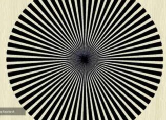 Ova iluzija mnoge je dovela do suza: Boja koja vam se pojavi može pokazati da li ste genije Ova iluzija mnoge je dovela do suza: Boja koja vam se pojavi može pokazati da li ste genije