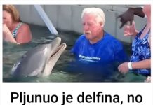 Pljunuo je delfina, no čekajte da vidite šta će se dogoditi u nastavku! Pljunuo je delfina, no čekajte da vidite šta će se dogoditi u nastavku!
