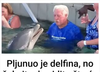 Pljunuo je delfina, no čekajte da vidite šta će se dogoditi u nastavku! Pljunuo je delfina, no čekajte da vidite šta će se dogoditi u nastavku!