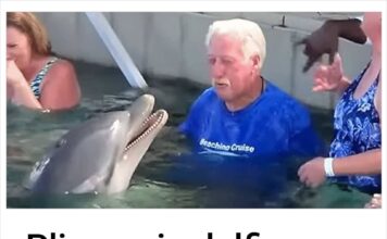 Pljunuo je delfina, no čekajte da vidite šta će se dogoditi u nastavku! Pljunuo je delfina, no čekajte da vidite šta će se dogoditi u nastavku!