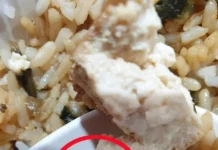 Porodična Večera Koja Je Krenula Po Zlu: Pronašla neočekivnog uljeza u Obroku Porodična Večera Koja Je Krenula Po Zlu: Pronašla neočekivnog uljeza u Obroku