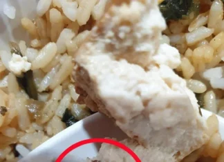 Porodična Večera Koja Je Krenula Po Zlu: Pronašla neočekivnog uljeza u Obroku Porodična Večera Koja Je Krenula Po Zlu: Pronašla neočekivnog uljeza u Obroku