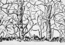 Prva životinja koju vidite na ilustraciji otkriće vam apsolutno sve o vašoj ličnosti i to bez greške Prva životinja koju vidite na ilustraciji otkriće vam apsolutno sve o vašoj ličnosti i to bez greške