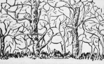 Prva životinja koju vidite na ilustraciji otkriće vam apsolutno sve o vašoj ličnosti i to bez greške Prva životinja koju vidite na ilustraciji otkriće vam apsolutno sve o vašoj ličnosti i to bez greške