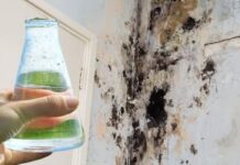 SAMO 1 kap i plijesan odmah nestaje sa zidova! SAMO 1 kap i plijesan odmah nestaje sa zidova!