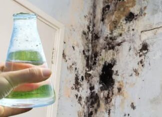 SAMO 1 kap i plijesan odmah nestaje sa zidova! SAMO 1 kap i plijesan odmah nestaje sa zidova!