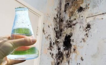 SAMO 1 kap i plijesan odmah nestaje sa zidova! SAMO 1 kap i plijesan odmah nestaje sa zidova!