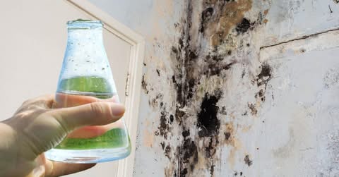 SAMO 1 kap i plijesan odmah nestaje sa zidova! SAMO 1 kap i plijesan odmah nestaje sa zidova!