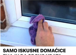 SAMO ISKUSNE DOMAĆICE ZNAJU DA SE PVC VRATA ČISTE UZ POMOĆ OVE VOĆKE: Oribaće svu MASNOĆU i FLEKE za tren oka SAMO ISKUSNE DOMAĆICE ZNAJU DA SE PVC VRATA ČISTE UZ POMOĆ OVE VOĆKE: Oribaće svu MASNOĆU i FLEKE za tren oka