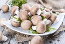 Šta je to “starački miris” i kako ga se rešiti? Samo 1 namirnica pomaže, tvrdi stručnjakinja za dugovečnost Šta je to "starački miris" i kako ga se rešiti? Samo 1 namirnica pomaže, tvrdi stručnjakinja za dugovečnost