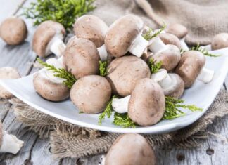 Šta je to “starački miris” i kako ga se rešiti? Samo 1 namirnica pomaže, tvrdi stručnjakinja za dugovečnost Šta je to "starački miris" i kako ga se rešiti? Samo 1 namirnica pomaže, tvrdi stručnjakinja za dugovečnost