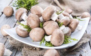 Šta je to “starački miris” i kako ga se rešiti? Samo 1 namirnica pomaže, tvrdi stručnjakinja za dugovečnost Šta je to "starački miris" i kako ga se rešiti? Samo 1 namirnica pomaže, tvrdi stručnjakinja za dugovečnost