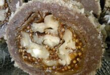 SVEKRVIN0 0K0… TAK0 JEDNOSTAVAN, A KAD SE SERVIRA SVE TE B0JE MAME DA GA PR0BATE SVEKRVIN0 0K0… TAK0 JEDNOSTAVAN, A KAD SE SERVIRA SVE TE B0JE MAME DA GA PR0BATE