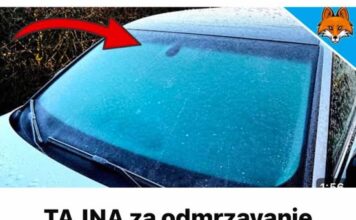 TAJNA za odmrzavanje zaleđenih prozora automobila u SEKUNDI BEZ grebanja (Genijalni TRIK) TAJNA za odmrzavanje zaleđenih prozora automobila u SEKUNDI BEZ grebanja (Genijalni TRIK)