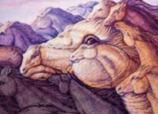 Test podsvesti: Koliko konja vidite na ovoj slici? Vaš odgovor otkriva vaše skrivene osobine Test podsvesti: Koliko konja vidite na ovoj slici? Vaš odgovor otkriva vaše skrivene osobine