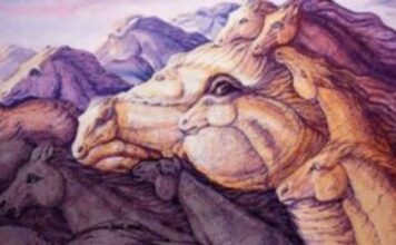 Test podsvesti: Koliko konja vidite na ovoj slici? Vaš odgovor otkriva vaše skrivene osobine Test podsvesti: Koliko konja vidite na ovoj slici? Vaš odgovor otkriva vaše skrivene osobine