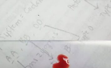 TI SI NULA, ZNAČI DA SI POSEBAN: Osobe sa tom krvnom grupom imaju “moći” kakve drugi sanjaju! TI SI NULA, ZNAČI DA SI POSEBAN: Osobe sa tom krvnom grupom imaju “moći” kakve drugi sanjaju!