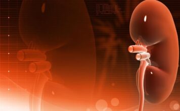 UROLOG TVRDI DA OVA NAMIRNICA IZAZIVA KAMEN U BUBREGU! Počinje sa jakim bolom u leđima, pa se proširi na… UROLOG TVRDI DA OVA NAMIRNICA IZAZIVA KAMEN U BUBREGU! Počinje sa jakim bolom u leđima, pa se proširi na…