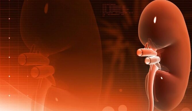 UROLOG TVRDI DA OVA NAMIRNICA IZAZIVA KAMEN U BUBREGU! Počinje sa jakim bolom u leđima, pa se proširi na… UROLOG TVRDI DA OVA NAMIRNICA IZAZIVA KAMEN U BUBREGU! Počinje sa jakim bolom u leđima, pa se proširi na…