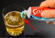 Uzmite čašu PIVA, obične paste za zube i dobro sačuvajte ovajdomaći trik: Koristim ga godinama i preporučujem svima! Uzmite čašu PIVA, obične paste za zube i dobro sačuvajte ovajdomaći trik: Koristim ga godinama i preporučujem svima!