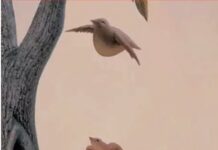 Zanimljiva optička iluzija otkriva koje su vaše najveće životne želje Zanimljiva optička iluzija otkriva koje su vaše najveće životne želje