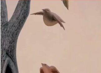 Zanimljiva optička iluzija otkriva koje su vaše najveće životne želje Zanimljiva optička iluzija otkriva koje su vaše najveće životne želje