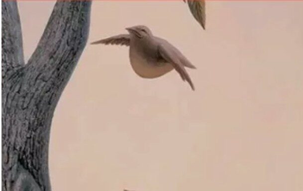 Zanimljiva optička iluzija otkriva koje su vaše najveće životne želje Zanimljiva optička iluzija otkriva koje su vaše najveće životne želje