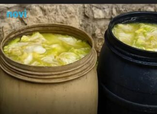 Zašto se glavice kupusa ne kisele nakon što ih stavite u bure? Ovo je razlog Zašto se glavice kupusa ne kisele nakon što ih stavite u bure? Ovo je razlog